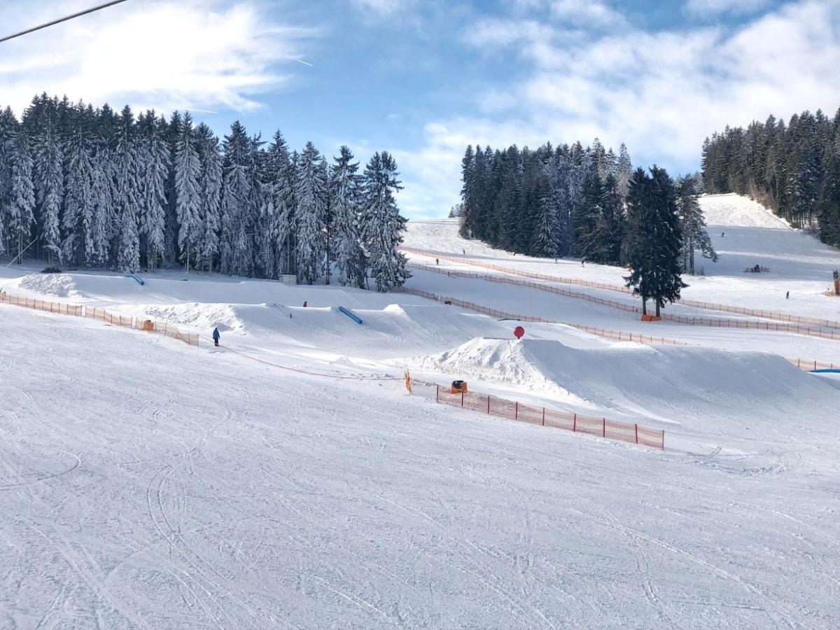 Fontana Lipno Hotel Černá v Pošumaví Екстериор снимка